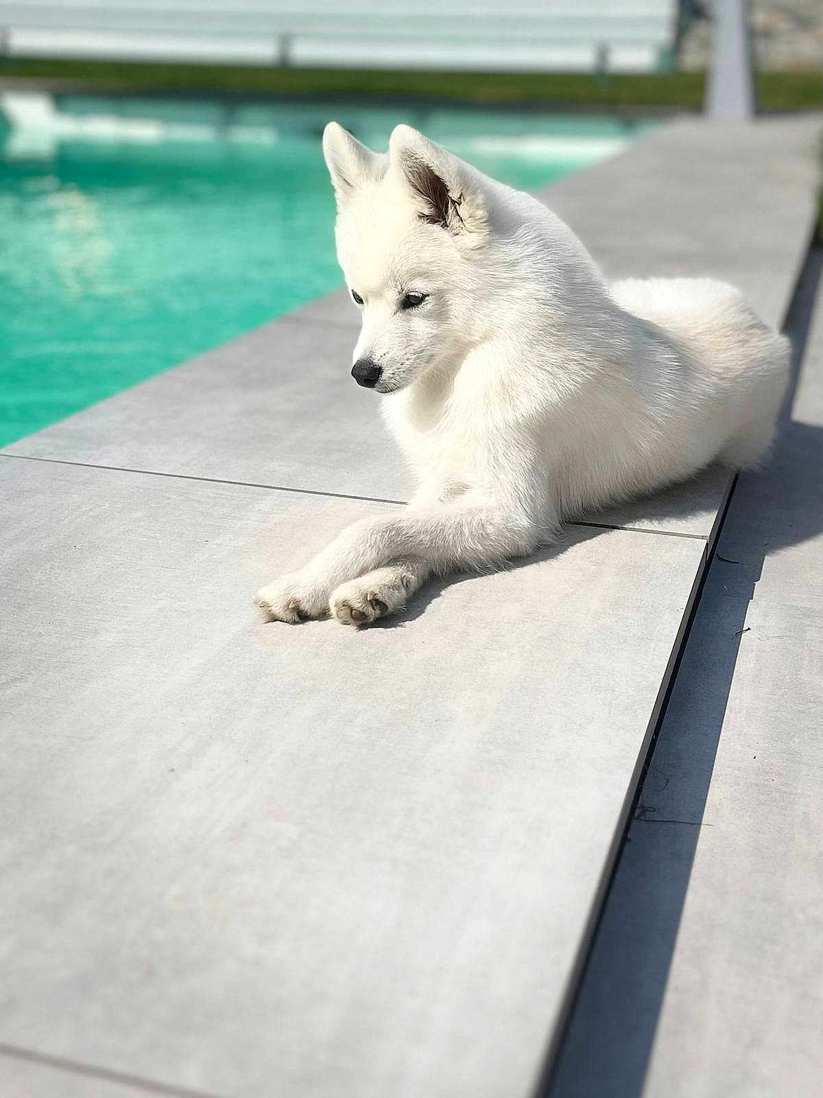 Yumi
