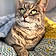 Minette