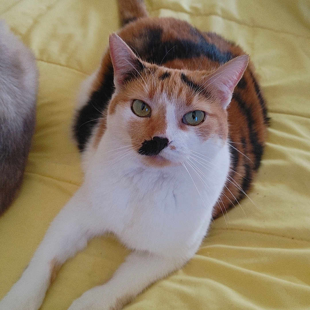 Charlie