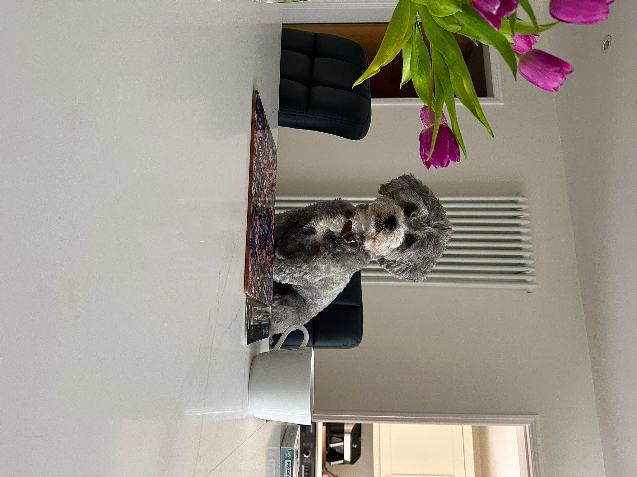 Max joined the competition — help win amazing prizes! art, ceiling, flower, house, magenta, petal, plant, room, tree, visual_arts, window, wood