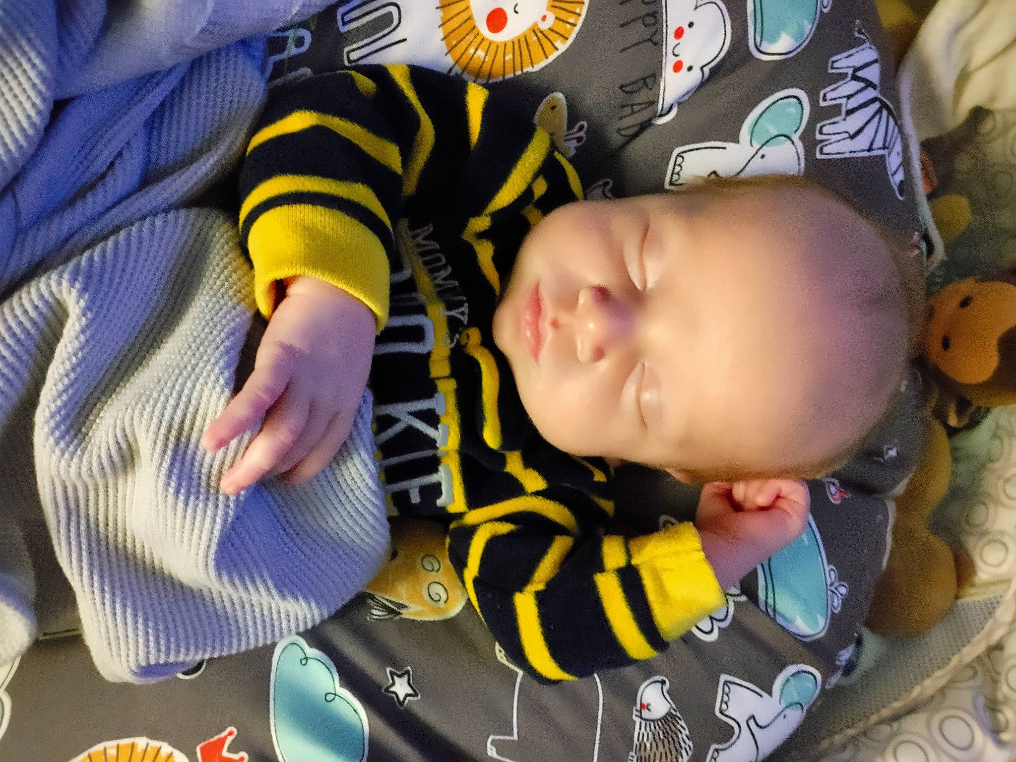 Kingsley is registered to the contest to win money with this photo: baby, baby_products, baby_toddler_clothing, baby_toys, cheek, child, comfort, finger, fun, grass, happy, mammal, pattern, person, play, sitting, sleeve, thumb, toddler, vertebrate