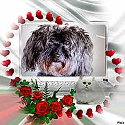 Patty a rejoint le concours — aidez-le/la à gagner de superbes lots !