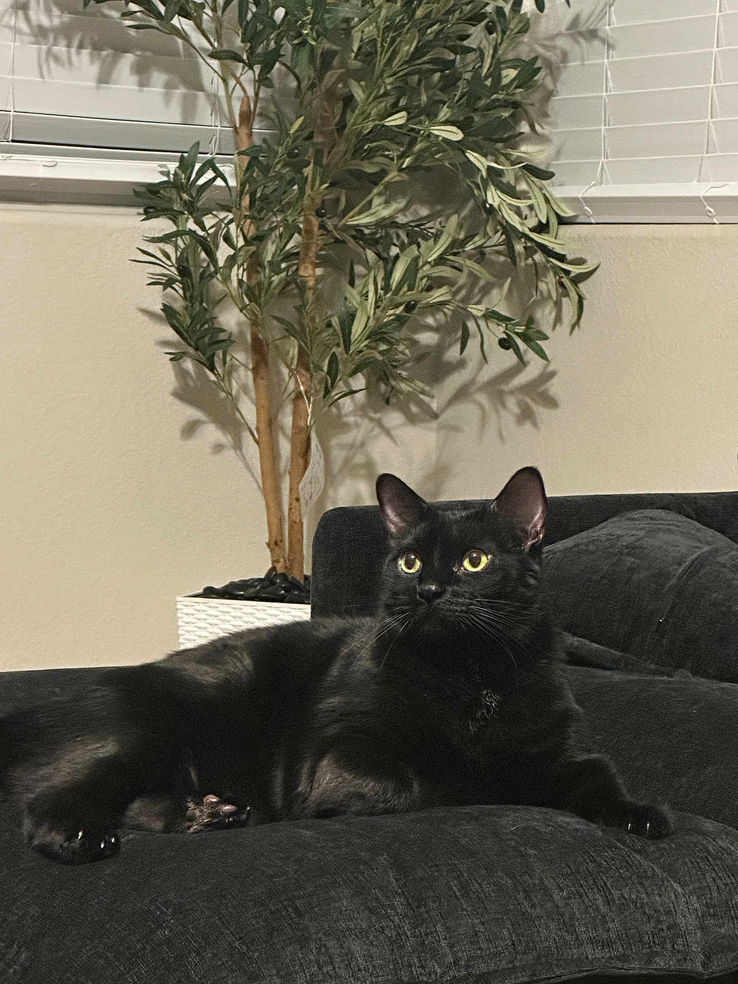 Binx