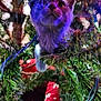 Misty joined the competition — help win amazing prizes! cat, christmas_tree, lights, curious, purple_light, branches, holiday, decorations, indoor, pet, feline, closeup, festive, greenery, playful, animal, whiskers, christmas_lights, holiday_season, tree