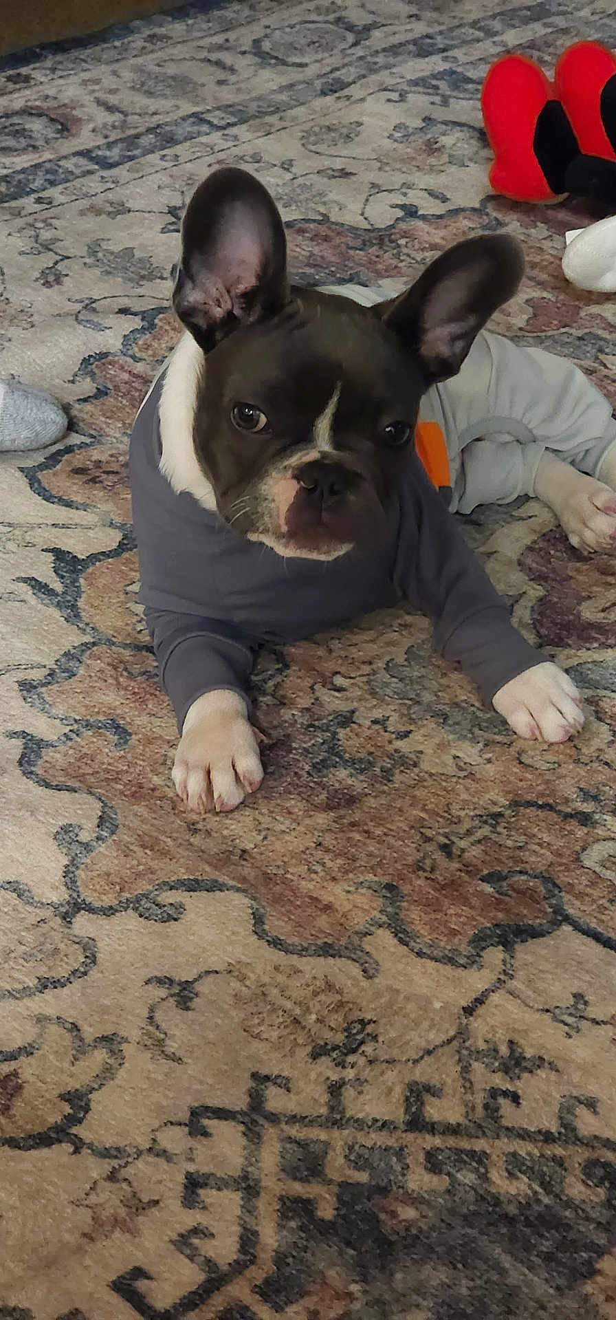 Grayson