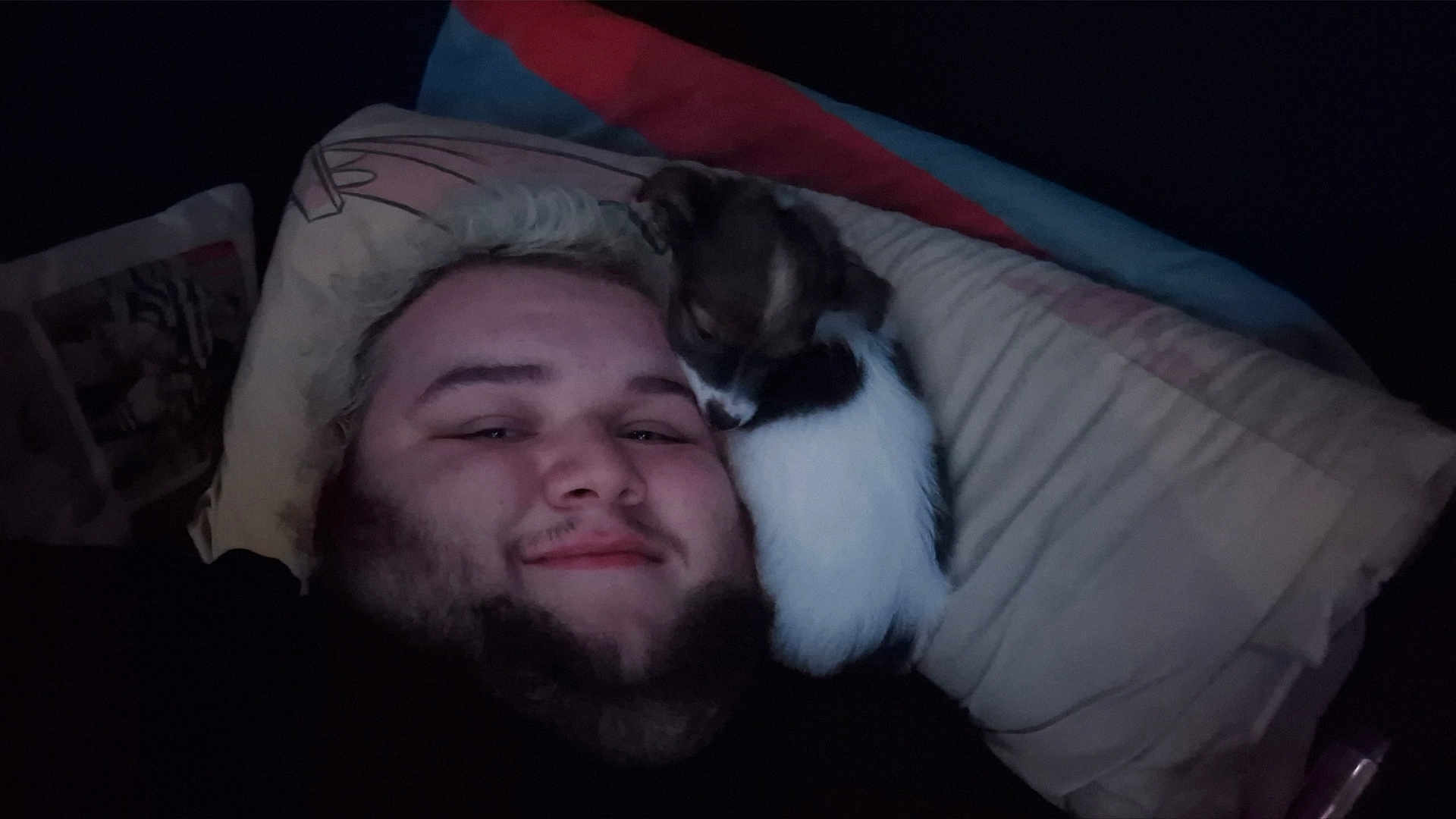 Reggie joined the competition — help win amazing prizes! person, dog, pillow, bed, smile, face, beard, hair, black_clothing, indoor, resting, snuggling, cute, pet, friendship, cozy, closeup, dark_background, comfort, sleepy