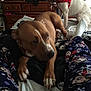 Diamond is registered to the contest to win money with this photo: