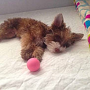 Woody participe au concours pour gagner de l'argent avec cette photo :