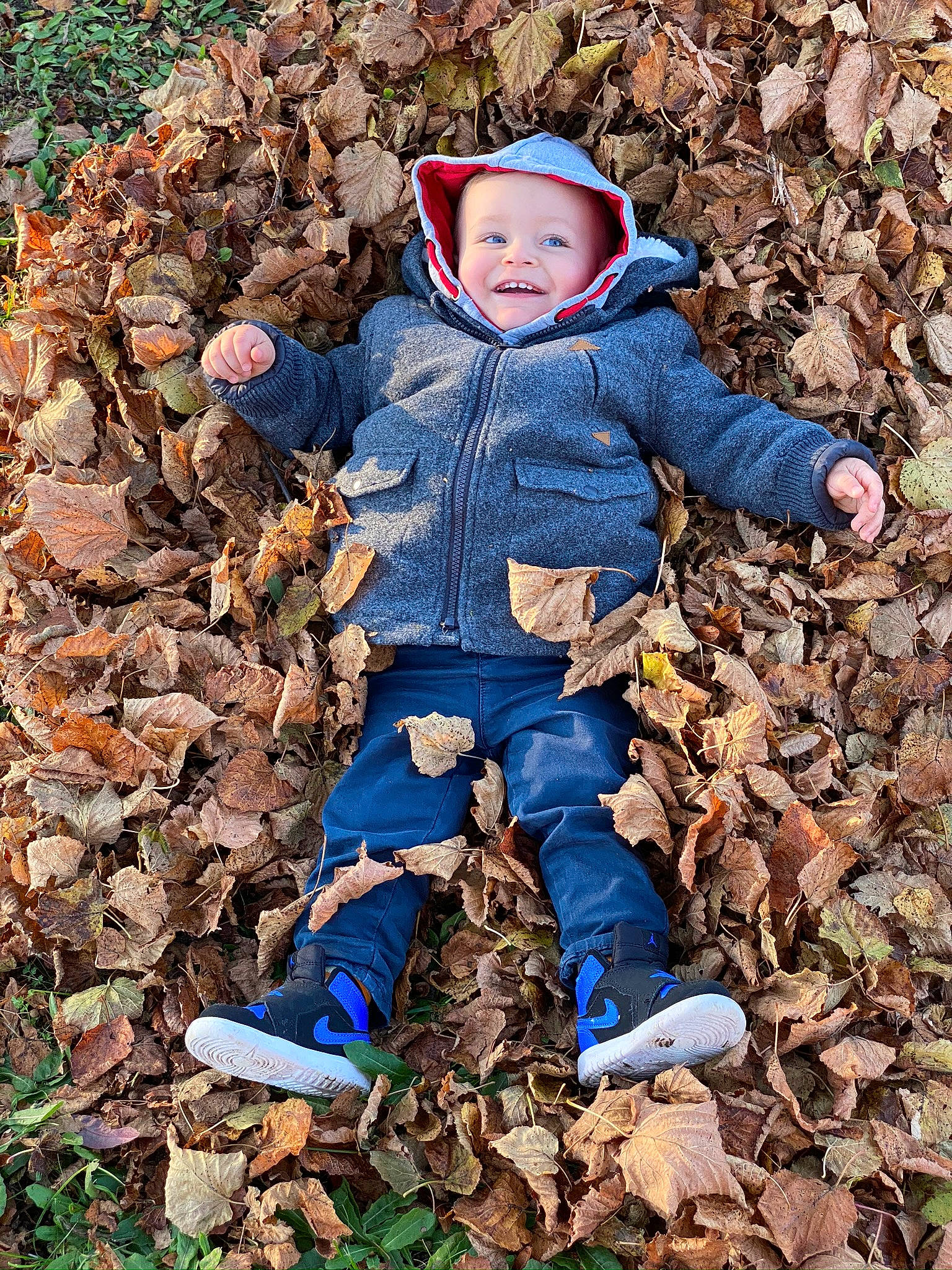 Kameron a rejoint le concours — aidez-le/la à gagner de superbes lots ! autumn, child, headwear, leaf, outerwear, people_in_nature, person, play, toddler