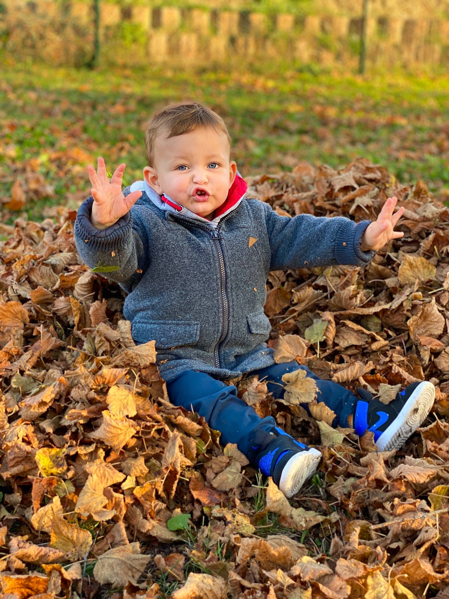 Kameron participe au concours pour gagner de l'argent avec cette photo : autumn, child, deciduous, forest, fun, happy, leaf, people_in_nature, person, photography, plant, play, soil, toddler, tree, woodland