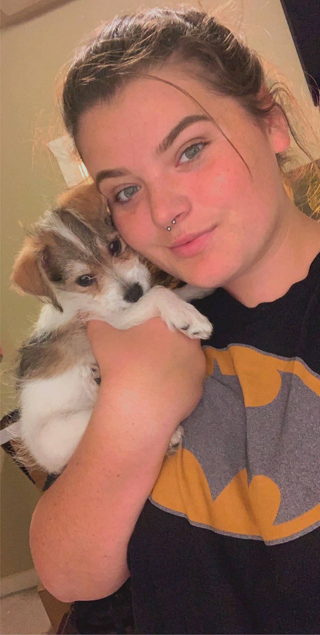 Eloise joined the competition — help win amazing prizes! biewer_terrier, canidae, carnivore, companion_dog, dog, dog_breed, fawn, mammal, morkie, puppy, puppy_love, skin, vertebrate