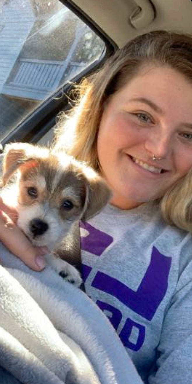 Eloise is registered to the contest to win money with this photo: canidae, carnivore, companion_dog, dog, dog_breed, ear, fox_terrier, kromfohrlander, mammal, parson_russell_terrier, photography, puppy, puppy_love, russell_terrier, selfie