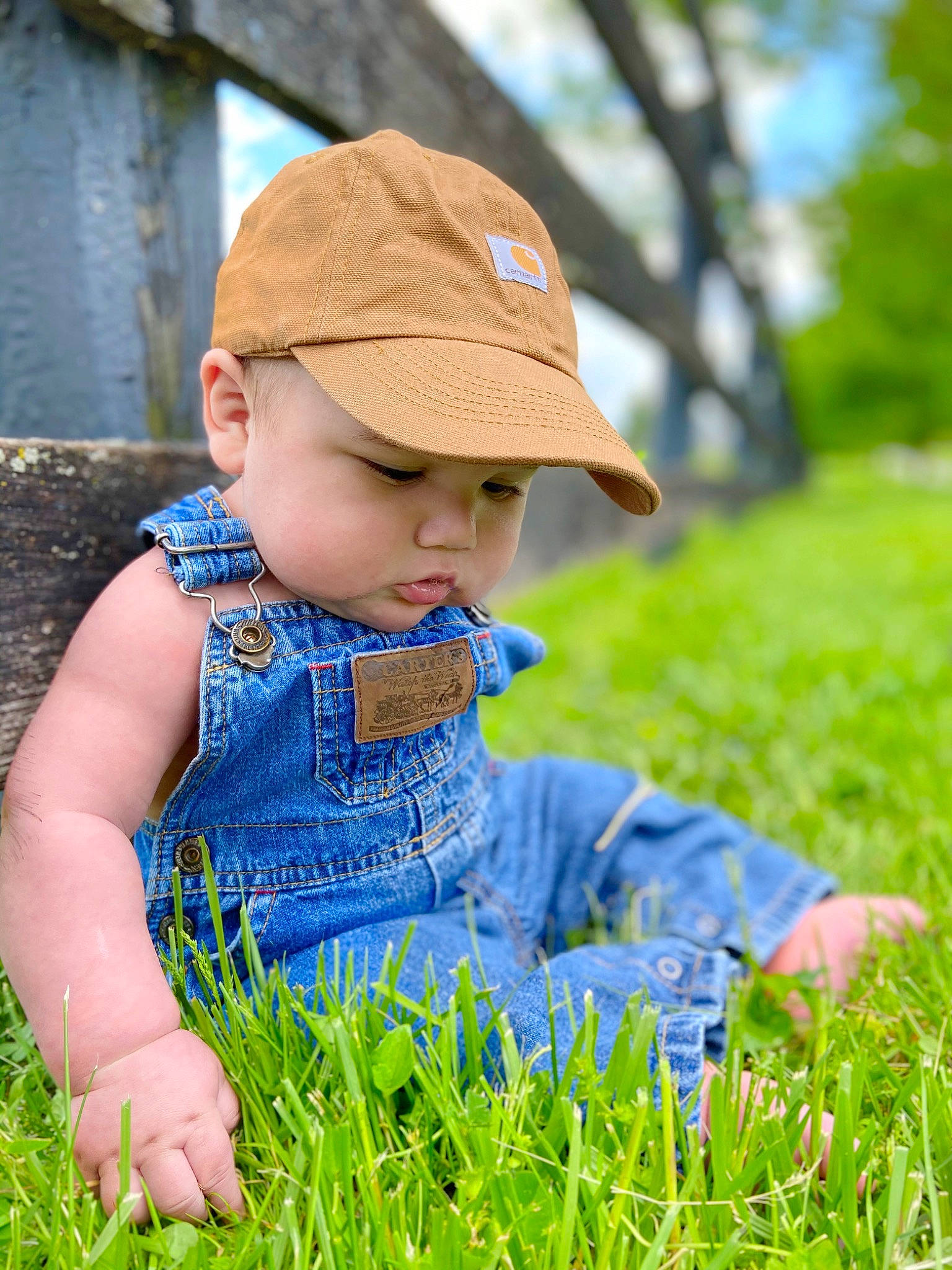 Monroe is registered to the contest to win money with this photo: baby, child, grass, grass_family, happy, headgear, headwear, lawn, meadow, people_in_nature, person, photography, plant, play, sitting, smile, spring, toddler
