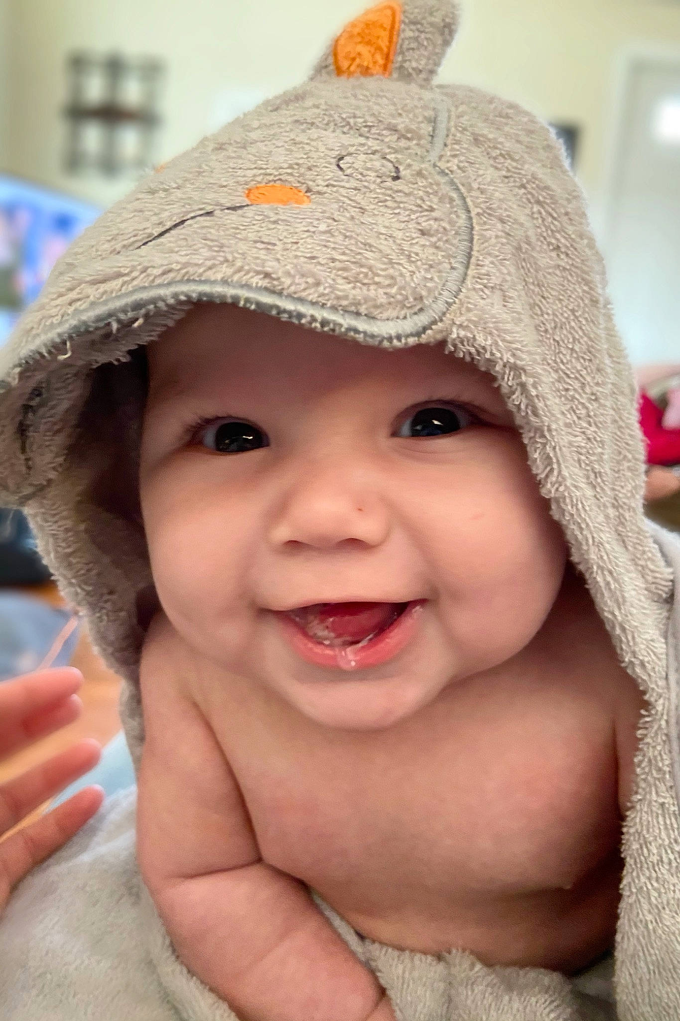 Monroe joined the competition — help win amazing prizes! baby, bonnet, cap, cheek, child, chin, face, facial_expression, fashion_accessory, hat, head, headgear, headwear, joy, knit_cap, laugh, lip, nose, person, skin
