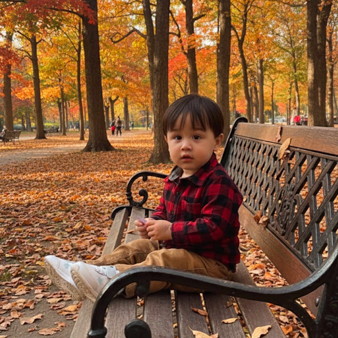 Bryan Matheus is registered to the contest to win money with this photo: autumn, bench, casual_clothing, child, curious, daylight, fall_leaves, leaves_on_ground, nature, outdoor, park, peaceful, plaid_shirt, scenic, seasonal, sneakers, toddler, trees, wooden_bench, young_child