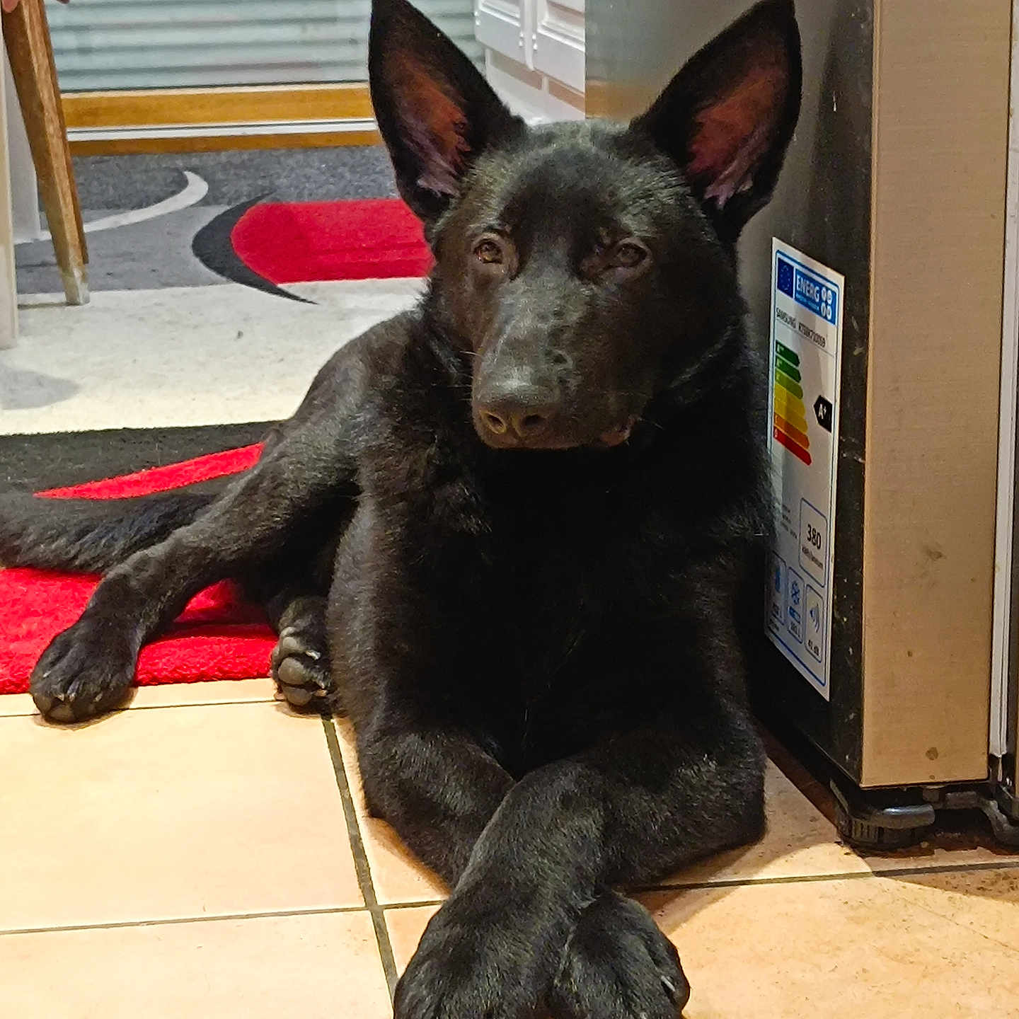 Tyson