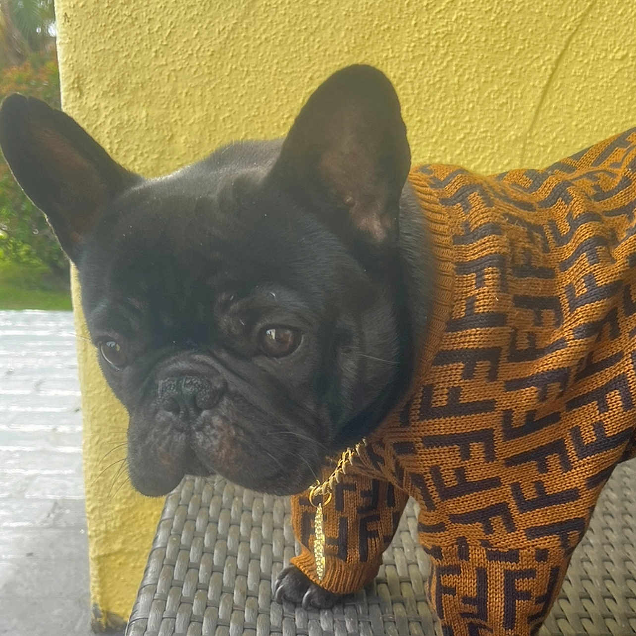 Quavo