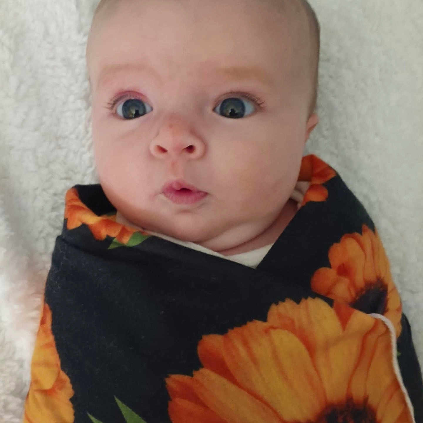 Aryn Paisley is registered to the contest to win money with this photo: baby, blanket, child, comfort, curious, cute, expression, face, head, indoors, infant, person, portrait, skin, soft, sunflower, texture, wide_eyes, wrapped, young