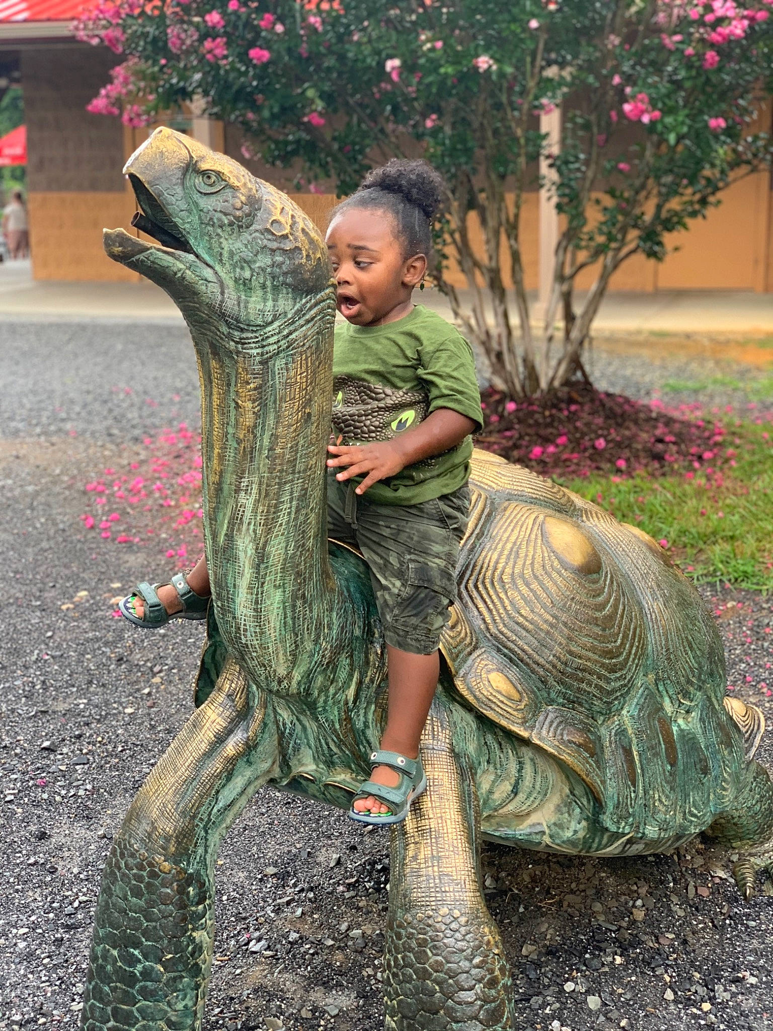 Dione joined the competition — help win amazing prizes! botany, flower, grass, green, hair, lawn_ornament, leaf, mammal, organism, people_in_nature, person, plant, public_space, sculpture, statue, surprise, temple, terrestrial_plant, tree, trunk