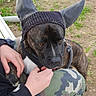 dog, animal, pet, person, hand, hat, knitted_hat, ears, lap, outdoor, bench, grass, rock, dirt, camo_pants, black_jacket, paws, sitting, calm, park