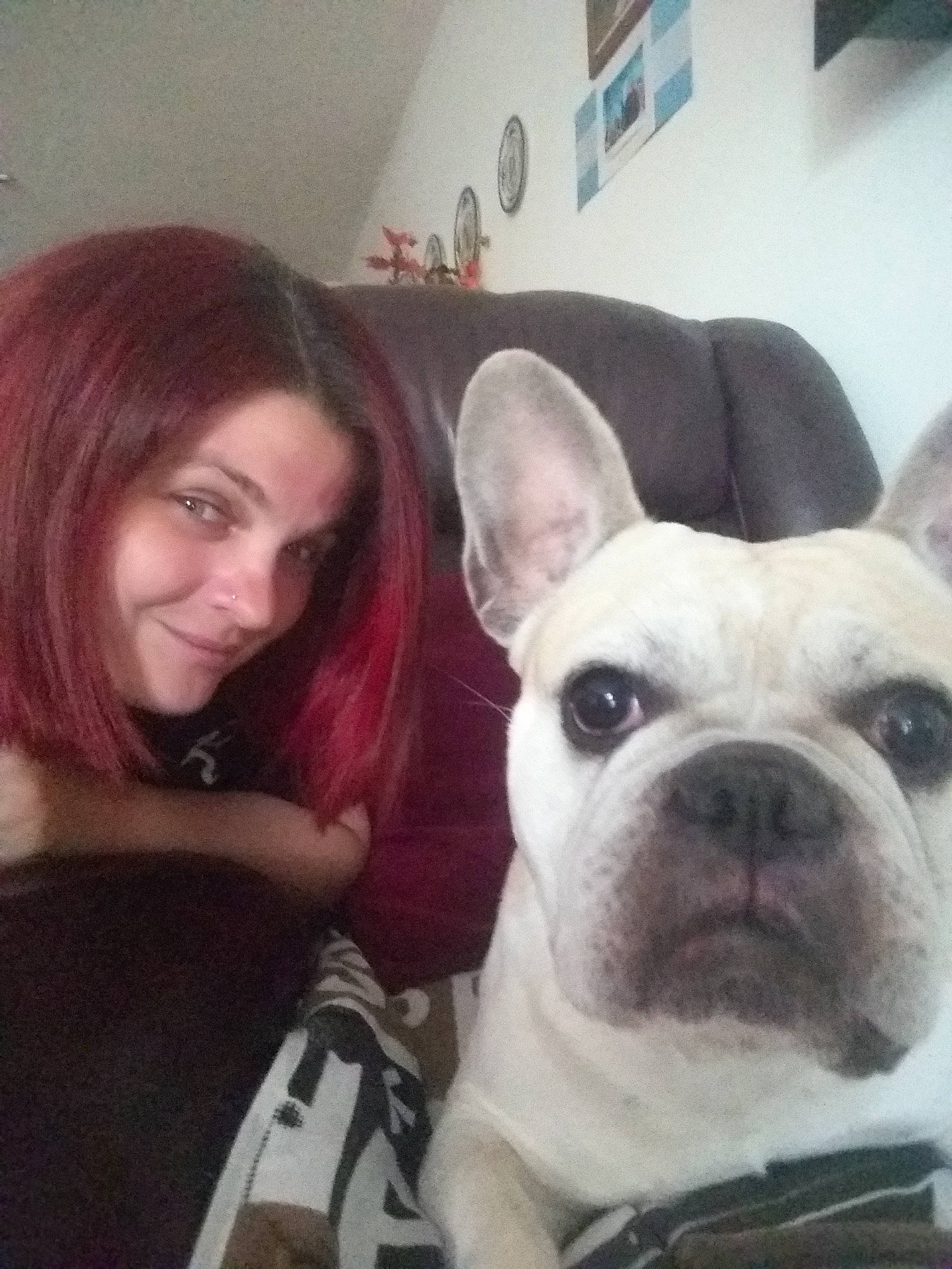 Ilko participe au concours pour gagner de l'argent avec cette photo : boston_terrier, bulldog, carnivoran, companion_dog, dog, dog_breed, dog_breed_group, dog_like_mammal, ear, fawn, french_bulldog, mammal, non_sporting_group, old_english_bulldog, olde_english_bulldogge, person, snout, toy_bulldog, vertebrate