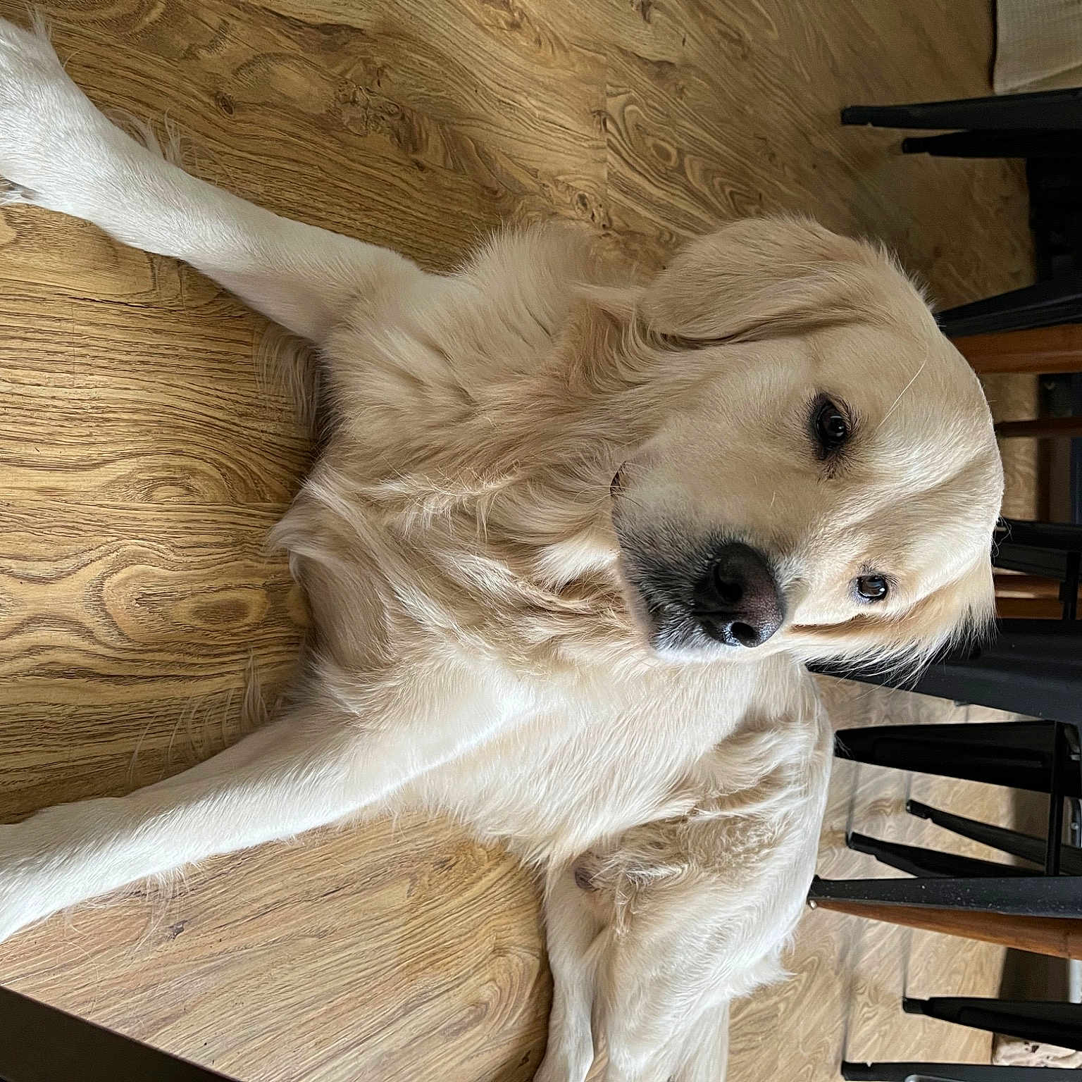 Saiko
