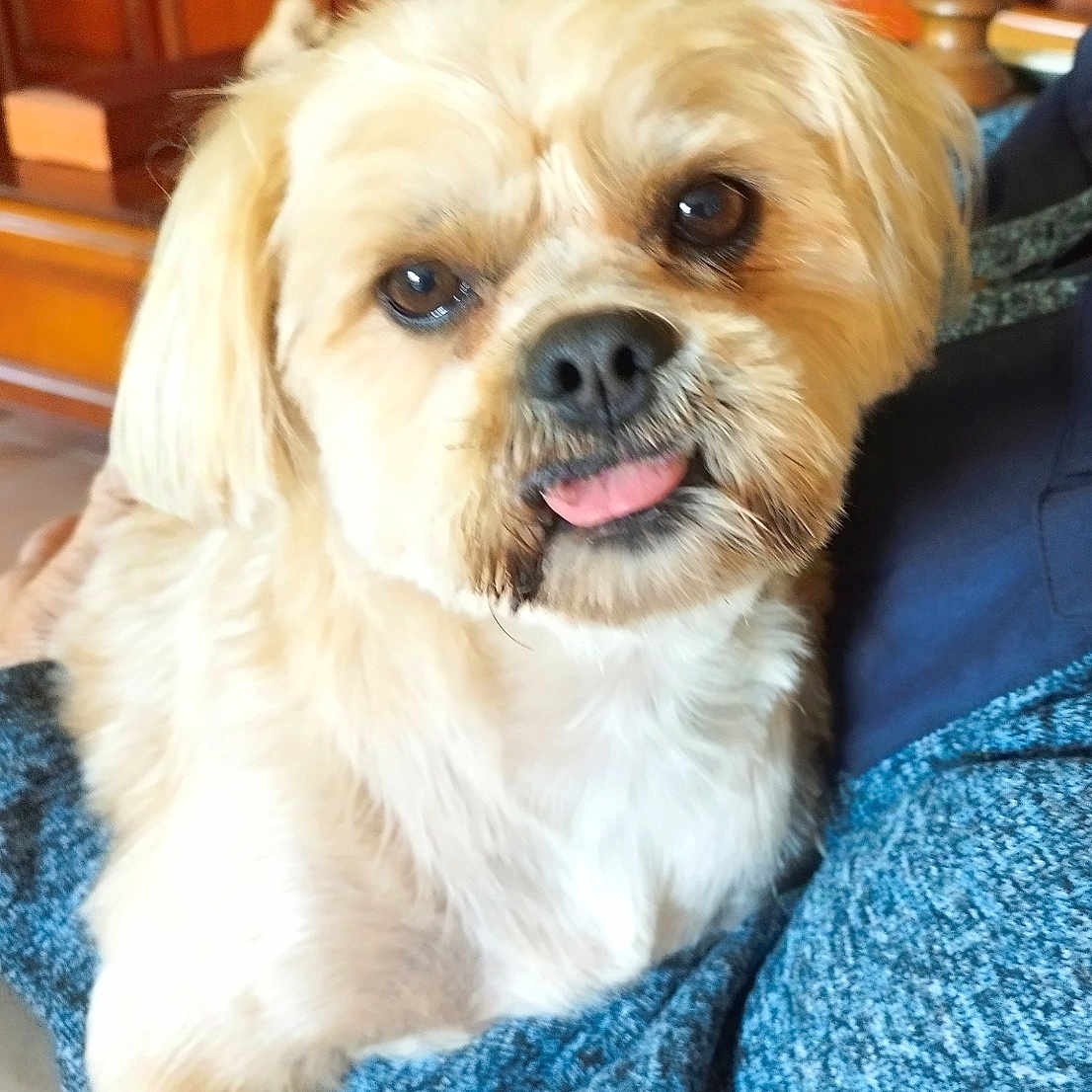 Pilou