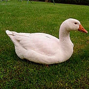 Zoé a rejoint le concours — aidez-le/la à gagner de superbes lots !