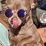 dog, sunglasses, tongue, pet, outdoor, person, hand, car, sunlight, cute, small_dog, brown_fur, wearing_accessory, animal, close_up, holding, casual, summer, funny, portrait