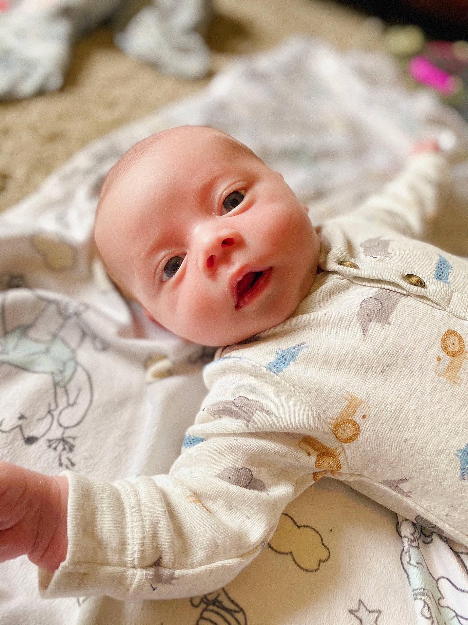 Ares joined the competition — help win amazing prizes! baby, baby_toddler_clothing, cheek, child, collar, comfort, grass, happy, head, human, iris, linens, pattern, people, person, sitting, skin, sleeve, smile, toddler