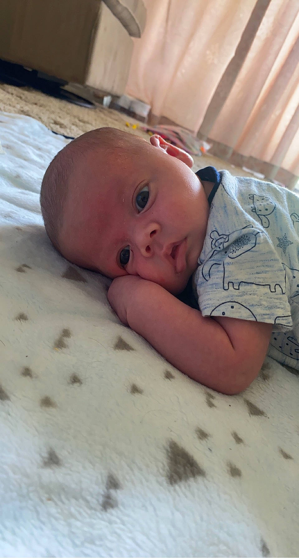 Ares joined the competition — help win amazing prizes! baby, baby_products, baby_toddler_clothing, bedding, bedtime, cheek, child, comfort, floor, flooring, hardwood, human_body, iris, linens, lip, mammal, nose, person, skin, toddler