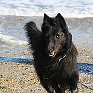 Edmond a rejoint le concours — aidez-le/la à gagner de superbes lots !