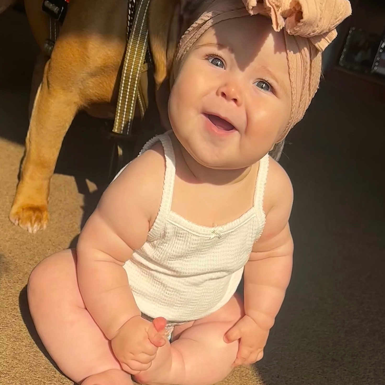 Giovanna is registered to the contest to win money with this photo: animal, baby, bow, carpet, child, companion, cute, dog, foot, hand, happy, headband, indoor, infant, pet, playful, sitting, skin, smiling, sunlight