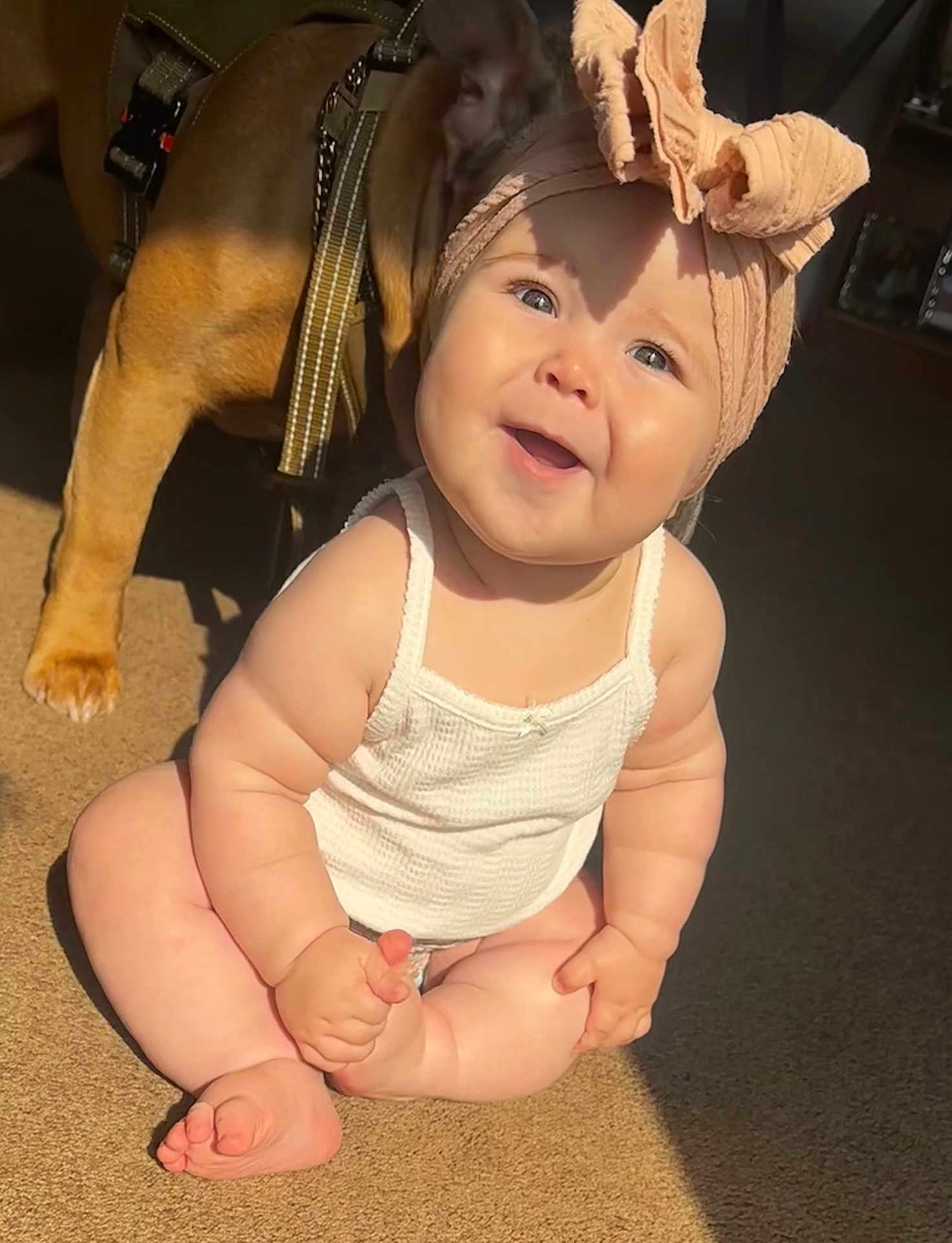 Giovanna is registered to the contest to win money with this photo: baby, child, infant, smiling, headband, bow, dog, pet, carpet, sunlight, indoor, cute, happy, sitting, skin, hand, foot, animal, companion, playful