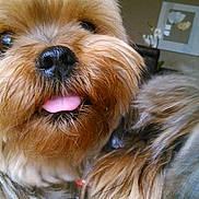 Cannelle a rejoint le concours — aidez-le/la à gagner de superbes lots !