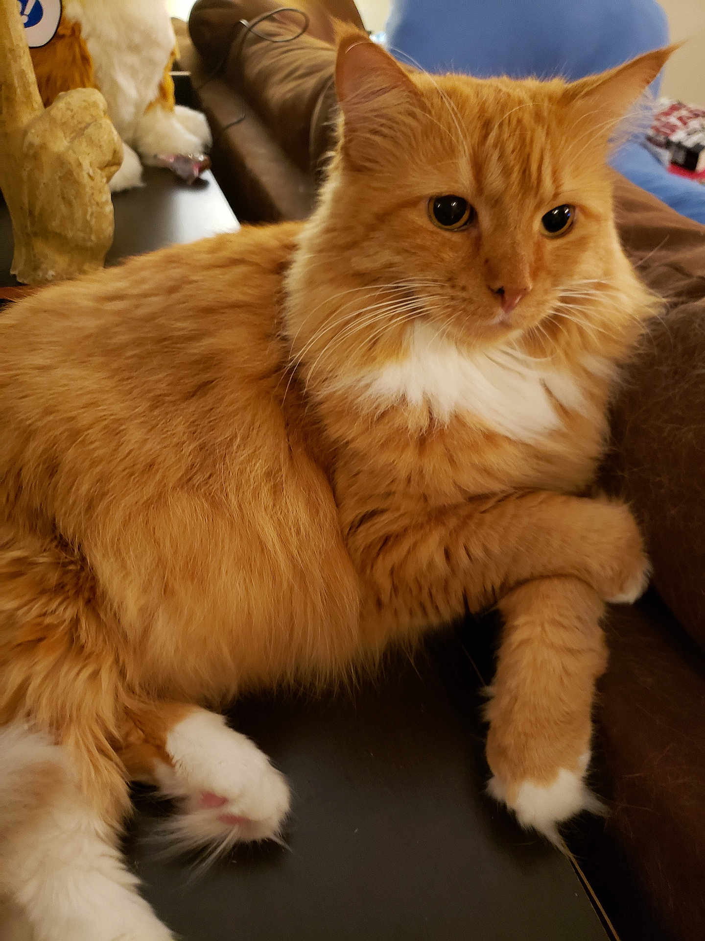 Punkin