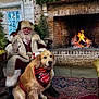 bandana, beard, carpet, celebration, chair, christmas_tree, cozy, decorations, dog, festive, fireplace, glasses, golden_retriever, holiday, indoor, santa_claus, smiling, table, warm, winter