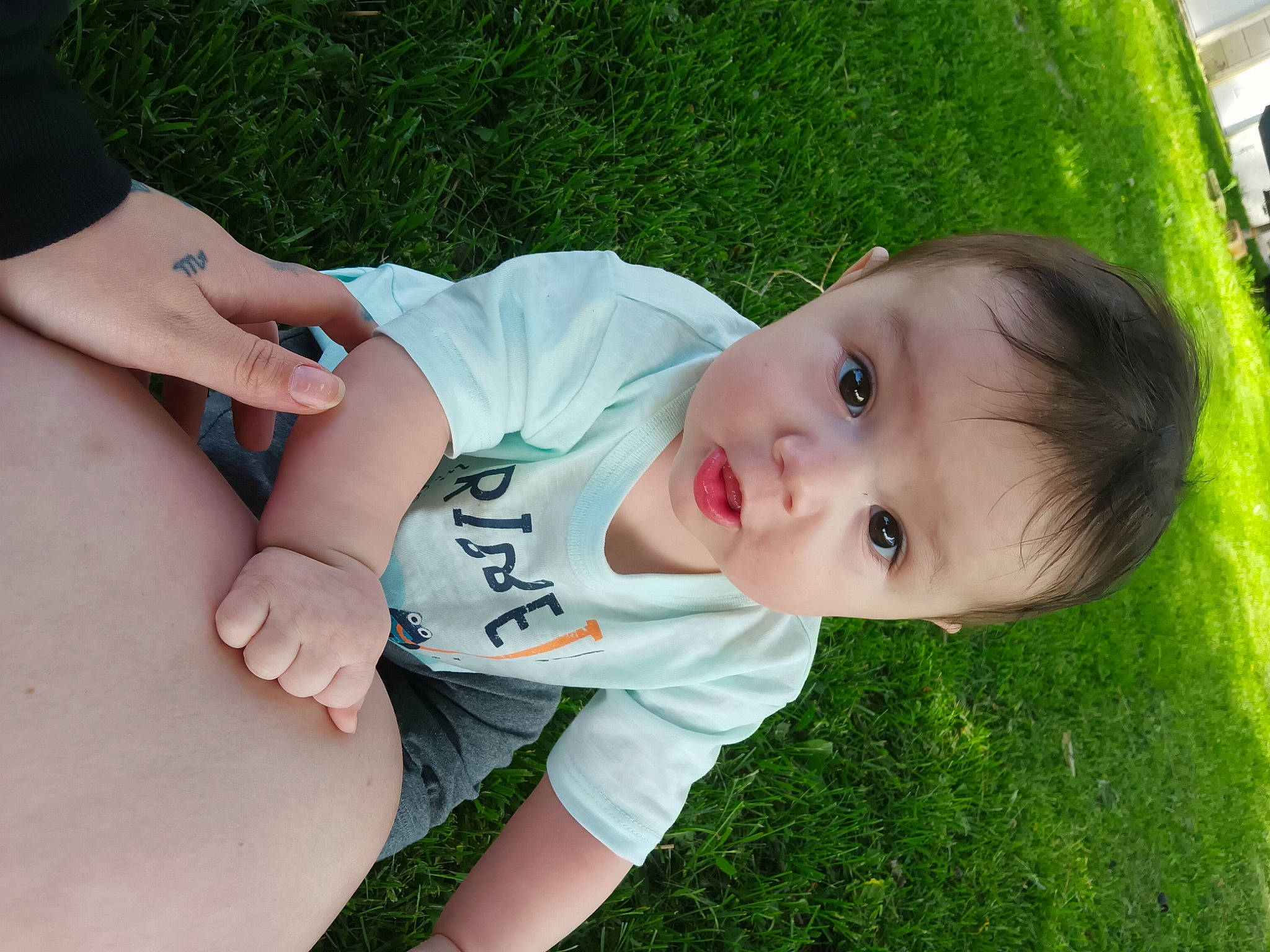 Nathan joined the competition — help win amazing prizes! baby, baby_toddler_clothing, child, elbow, eye, finger, grass, grass_family, grassland, happy, human_leg, knee, leisure, people_in_nature, person, plant, skin, smile, thigh, toddler