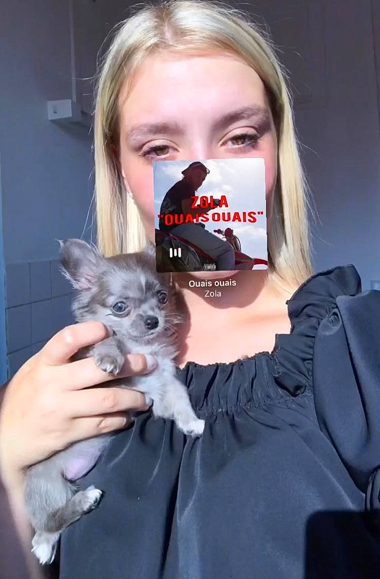 Tessa participe au concours pour gagner de l'argent avec cette photo : carnivore, companion_dog, cosmetics, dog, dog_breed, dog_supply, event, eye, eyelash, eyewear, fashion_accessory, fawn, fur, hair, head, mask, organ, personal_protective_equipment, toy_dog, whiskers