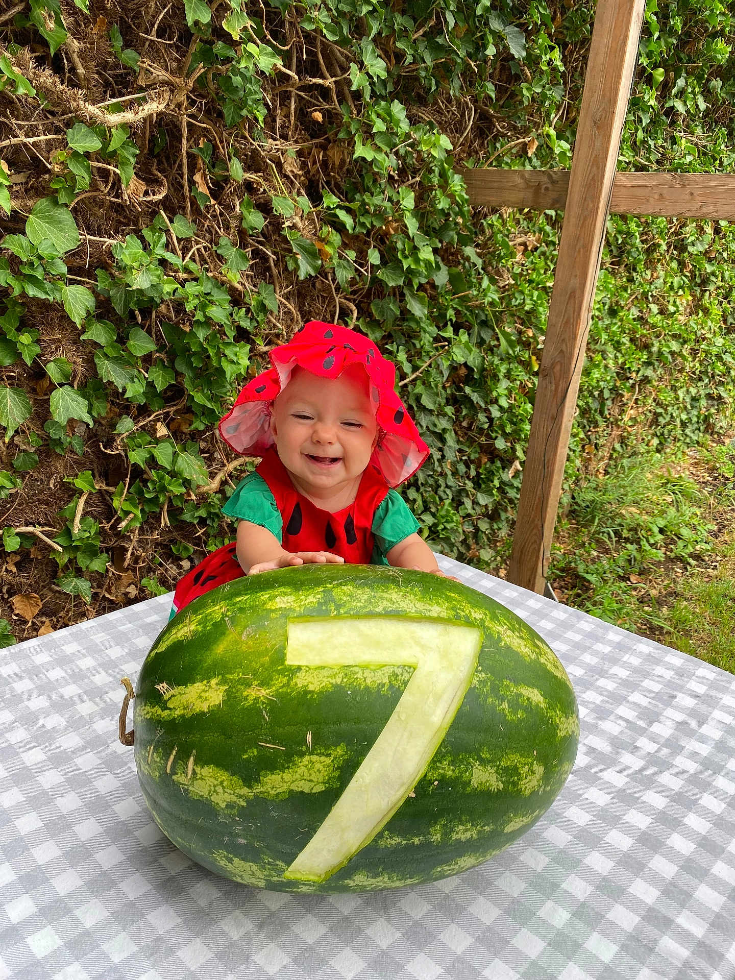 Beatrice joined the competition — help win amazing prizes! baby, child, watermelon, number_seven, fruit, table, checkered_tablecloth, greenery, ivy, outdoor, hat, red_clothing, smiling, happy, cute, nature, summer, garden, wooden_post, portrait
