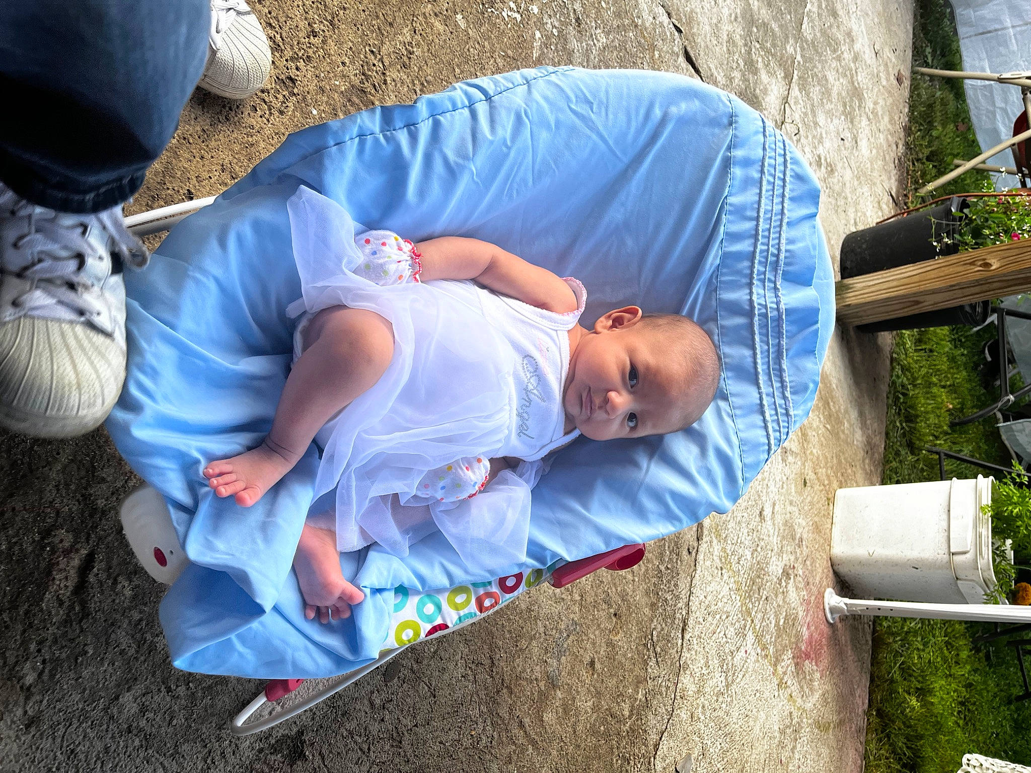 Connie joined the competition — help win amazing prizes! baby, baby_products, child, comfort, denim, electric_blue, fun, grass, lawn, leisure, people_in_nature, person, plant, recreation, sitting, soil, t_shirt, toddler, tree, vacation
