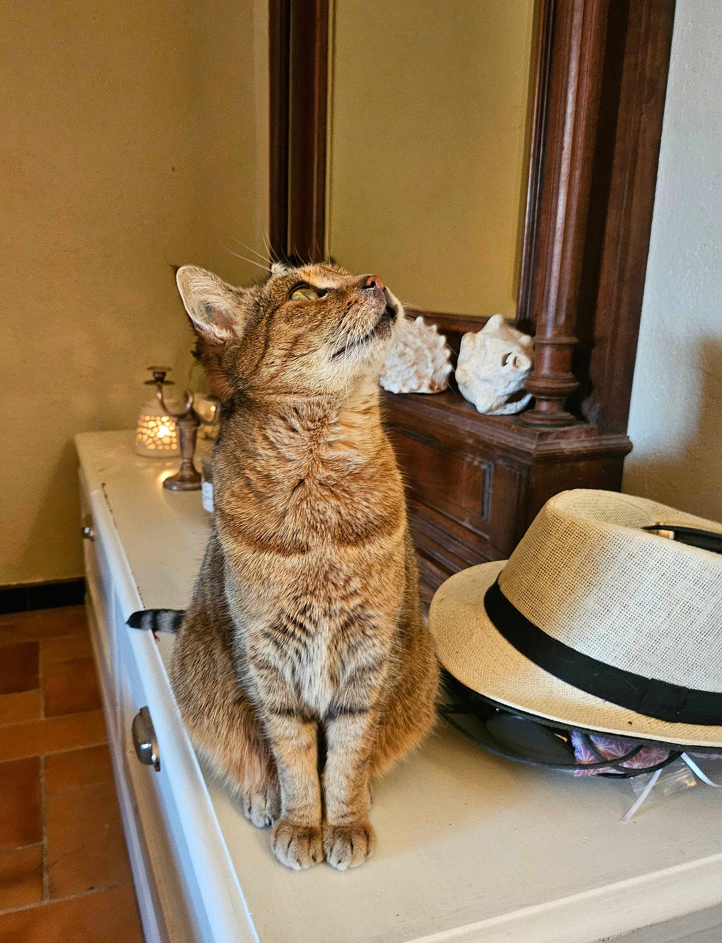 Minette