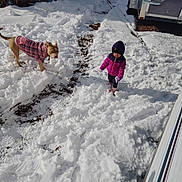 Claudia is registered to the contest to win money with this photo: animal, barefoot, child, coat, cold_weather, dog, footprints, house, jacket, outdoor, pet, pink, plaid, play, purple, snow, snowy_ground, trailer, winter_clothing, yard