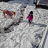 animal, barefoot, child, coat, cold_weather, dog, footprints, house, jacket, outdoor, pet, pink, plaid, play, purple, snow, snowy_ground, trailer, winter_clothing, yard