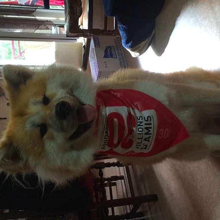 Mikuni participe au concours pour gagner de l'argent avec cette photo :