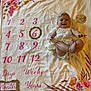 baby, infant, milestone_blanket, smiling, white_dress, headband, floral_design, months, number_six, baby_milestone, cute, lying_down, decorative_blanket, celebration, portrait, child, happy, indoors, soft_texture, baby_clothing
