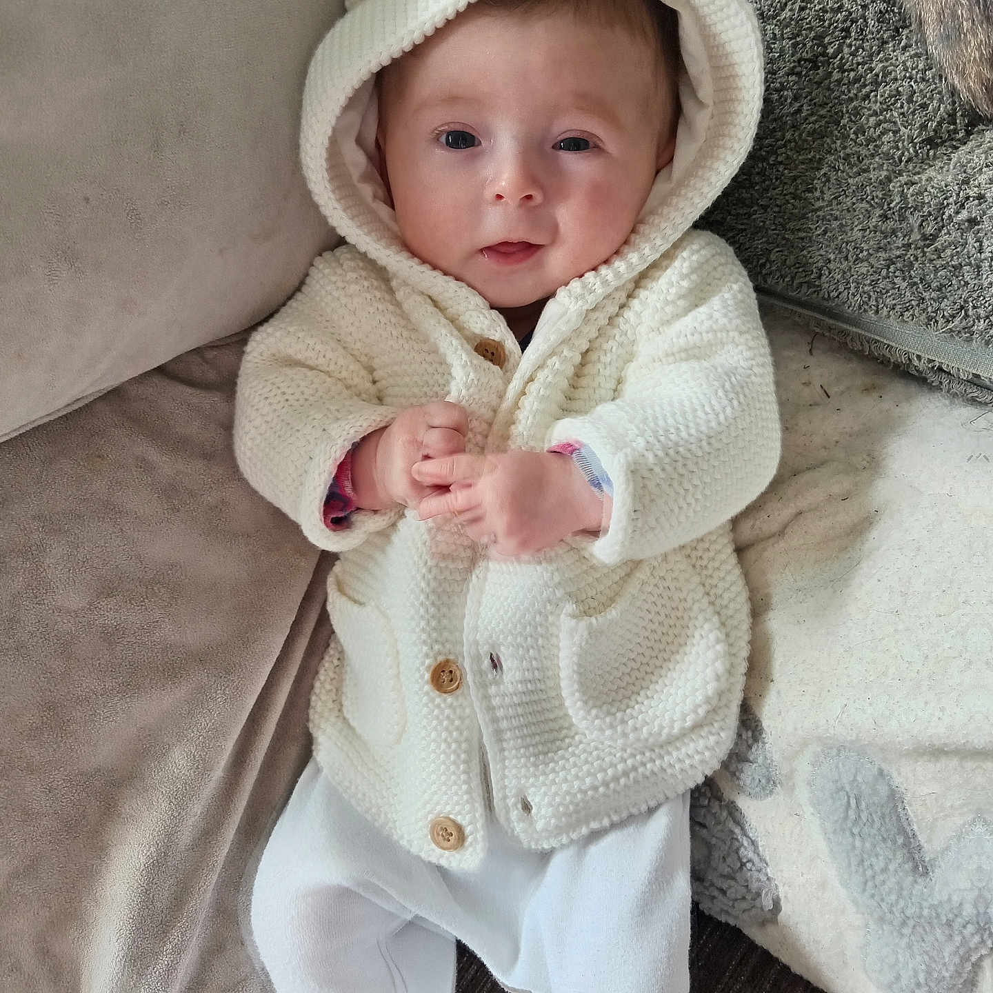 Azzalia joined the competition — help win amazing prizes! baby, blanket, child, comfortable, couch, cozy, cushion, cute, eyes, face, hands, hoodie, indoor, infant, knitted, portrait, smiling, soft, warm, white_clothing