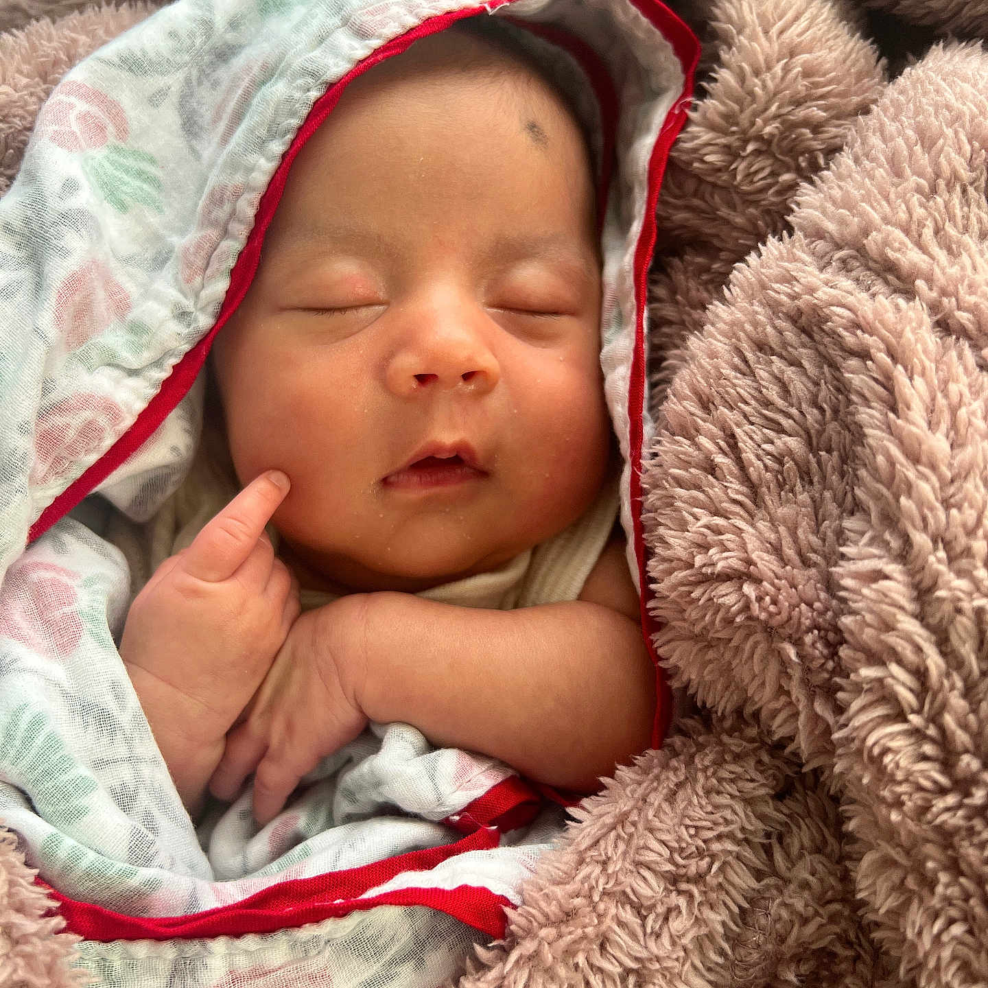 Purvi Manandhar is registered to the contest to win money with this photo: baby, babywear, blanket, child, clothing, comfort, cozy, cute, face, hand, indoors, infant, newborn, peaceful, portrait, resting, sleeping, soft, warm, wrapped