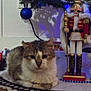 cat, christmas_tree, nutcracker, ornament, holiday_decor, indoor, feline, animal, wooden_floor, toy_train_track, blue_ball, festive, decorations, fur, pet, relaxed, white_wall, winter, seasonal, closeup