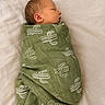 newborn, baby, swaddled, sleeping, blanket, cactus_pattern, infant, soft_lighting, peaceful, portrait, closeup, bed, resting, cute, child, fabric, texture, indoors, head, side_profile